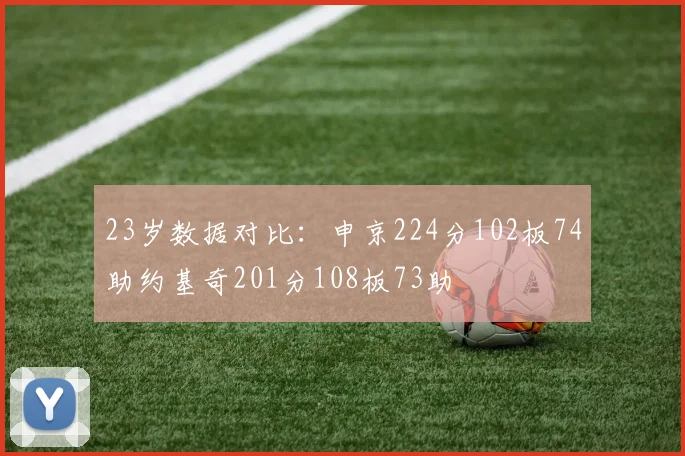 23岁数据对比：申京224分102板74助约基奇201分108板73助