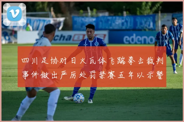 四川足协对日火瓦体飞踹拳击裁判事件做出严厉处罚禁赛五年以示警戒
