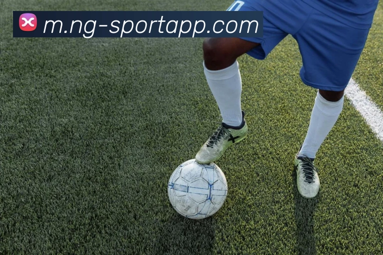 南宫体育服务体系